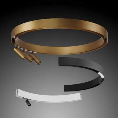 OLEO7 ETL 39MM Magnetic Curvy Track Light 