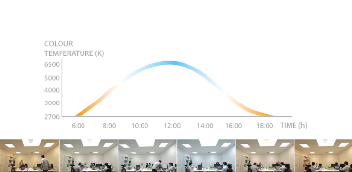 human central oleder lighting.png